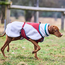 Cargar imagen en el visor de la galería, Non-Stop Dogwear Trekking Fleece Jacket - Abrigo para perros