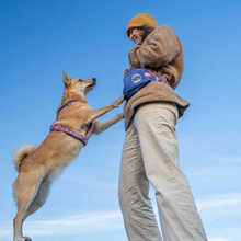 Cargar imagen en el visor de la galería, Non-Stop Dogwear Rachel Pohl - Riñonera