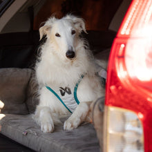 Cargar imagen en el visor de la galería, Non-Stop Dogwear - Cooling vest - Chaleco refrescante