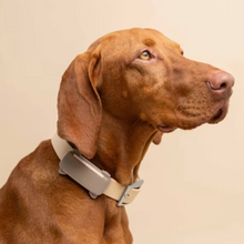 Cargar imagen en el visor de la galería, Tractive DOG 6 - Localizador GPS para perros