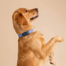 Cargar imagen en el visor de la galería, Tractive DOG 4 - Localizador GPS para perros