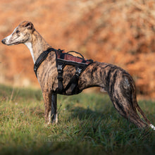 Cargar imagen en el visor de la galería, Non-Stop Dogwear Rock Harness Long - Arnés para perros