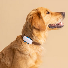 Cargar imagen en el visor de la galería, Tractive DOG 4 - Localizador GPS para perros