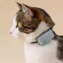 Cargar imagen en el visor de la galería, Tractive Cat Mini - Localizador GPS para gatos y perros mini