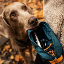 Cargar imagen en el visor de la galería, Non-Stop Dogwear Rachel Pohl - Riñonera