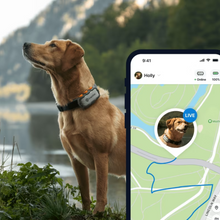 Cargar imagen en el visor de la galería, Tractive DOG XL Adventure Edition - Localizador GPS para perros - PROMO