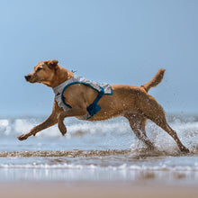 Cargar imagen en el visor de la galería, Non-Stop Dogwear - Cooling vest - Chaleco refrescante