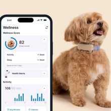 Cargar imagen en el visor de la galería, Tractive DOG 6 - Localizador GPS para perros
