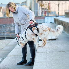 Cargar imagen en el visor de la galería, Non-Stop Dogwear Rock Harness Long - Arnés para perros