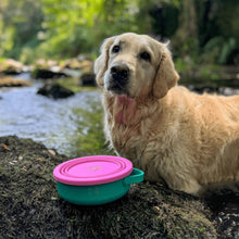 Cargar imagen en el visor de la galería, The Doog Life - Comedero y Bebedero portátil