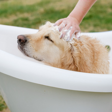Cargar imagen en el visor de la galería, The Doog Life - Champú natural