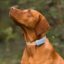 Cargar imagen en el visor de la galería, Tractive DOG 6 - Localizador GPS para perros