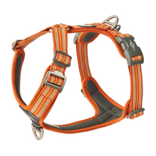 Cargar imagen en el visor de la galería, Arnés Dog Copenhagen Comfort Walk Air - Nuevo modelo V3