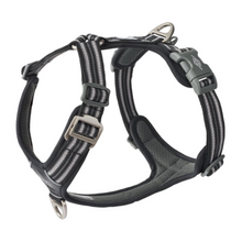 Cargar imagen en el visor de la galería, Arnés Dog Copenhagen Comfort Walk Air - Nuevo modelo V3