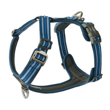 Cargar imagen en el visor de la galería, Arnés Dog Copenhagen Comfort Walk Air - Nuevo modelo V3