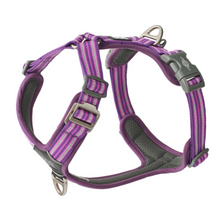 Cargar imagen en el visor de la galería, Arnés Dog Copenhagen Comfort Walk Air - Nuevo modelo V3