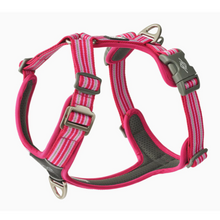 Cargar imagen en el visor de la galería, Arnés Dog Copenhagen Comfort Walk Air - Nuevo modelo V3