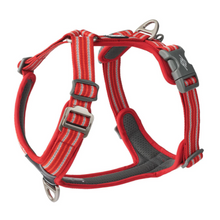 Cargar imagen en el visor de la galería, Arnés Dog Copenhagen Comfort Walk Air - Nuevo modelo V3