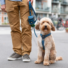 Cargar imagen en el visor de la galería, Arnés Dog Copenhagen Comfort Walk Air - Nuevo modelo V3