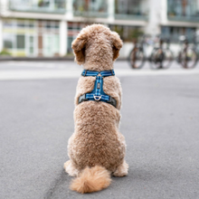 Cargar imagen en el visor de la galería, Arnés Dog Copenhagen Comfort Walk Air - Nuevo modelo V3