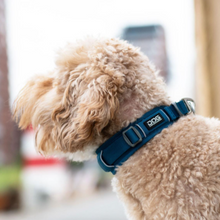 Cargar imagen en el visor de la galería, Collar Dog Copenhagen Urban Explorer - Nuevo modelo V3