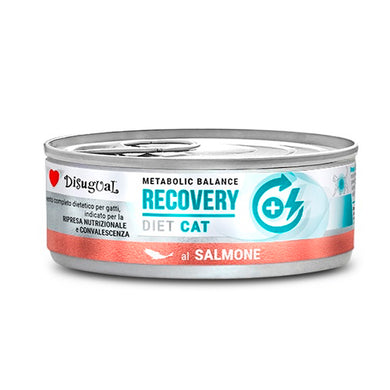 Disugual Recovery - Lata de salmón para gatos