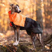 Cargar imagen en el visor de la galería, Non-Stop Dogwear Fjord Raincoat - Chubasquero para perros