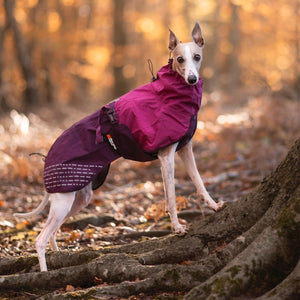 Non-Stop Dogwear Fjord Raincoat - Chubasquero para perros