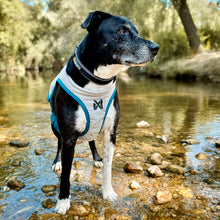 Cargar imagen en el visor de la galería, Non-Stop Dogwear - Cooling vest - Chaleco refrescante