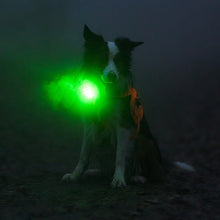 Cargar imagen en el visor de la galería, Orbiloc Dog Dual - Luz de seguridad Flasher