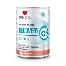 Cargar imagen en el visor de la galería, Disugual Diet Recovery - Latas de comida húmeda