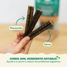 Cargar imagen en el visor de la galería, Wild Balance - Stick Dentales