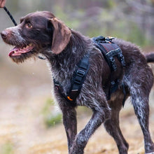 Cargar imagen en el visor de la galería, Non-Stop Dogwear Rock Harness Long - Arnés para perros