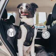 Cargar imagen en el visor de la galería, Ezydog - Arnés de viaje para coche homologado