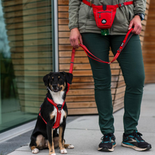 Cargar imagen en el visor de la galería, Bolsa premios Go Explore™ Dog Copenhagen