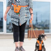 Cargar imagen en el visor de la galería, Bolsa premios Go Explore™ Dog Copenhagen