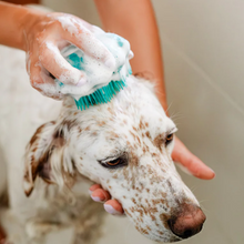 Cargar imagen en el visor de la galería, The Doog Life - Cepillo de baño