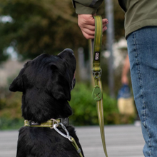 Cargar imagen en el visor de la galería, Soporte para bolsitas Flexy™ Dog Copenhagen