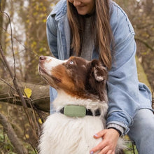 Cargar imagen en el visor de la galería, Tractive DOG XL - Localizador GPS para perros
