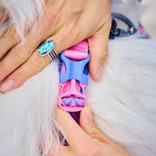 Cargar imagen en el visor de la galería, Non-Stop Dogwear Line Harness 5.0 Rachel Pohl  - Arnés para perros