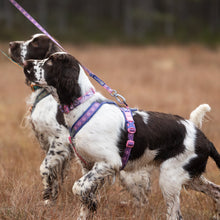 Cargar imagen en el visor de la galería, Non-Stop Dogwear Line Harness 5.0 Rachel Pohl  - Arnés para perros