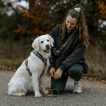 Cargar imagen en el visor de la galería, Non-Stop Dogwear Line Harness 5.0 Rachel Pohl  - Arnés para perros