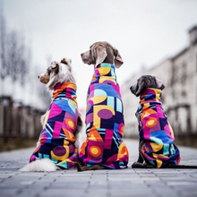 Cargar imagen en el visor de la galería, Pomppa Jumppa - Forro polar