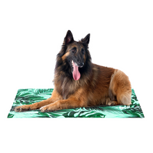 Cargar imagen en el visor de la galería, Alfombra Refrescante para Perros - Sabana