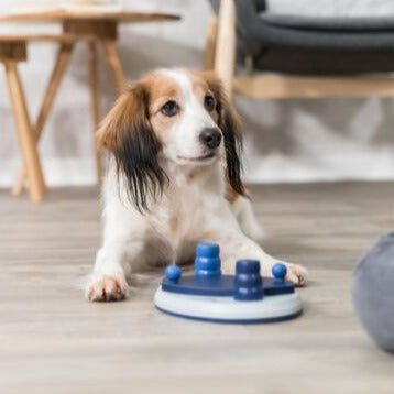 Cómo sacar provecho a los juguetes interactivos para perros