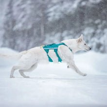 Cargar imagen en el visor de la galería, Non-Stop Dogwear Ramble Harness Long - Arnés para perros