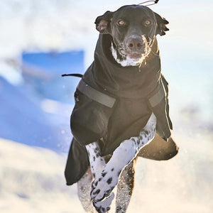 Non-Stop Dogwear Trekking Raincoat - Chubasquero para perros
