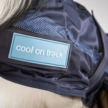 Cargar imagen en el visor de la galería, Chaleco refrescante - Cool on Track®