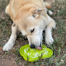 Cargar imagen en el visor de la galería, Lick Mat Rana - alfombra comedero