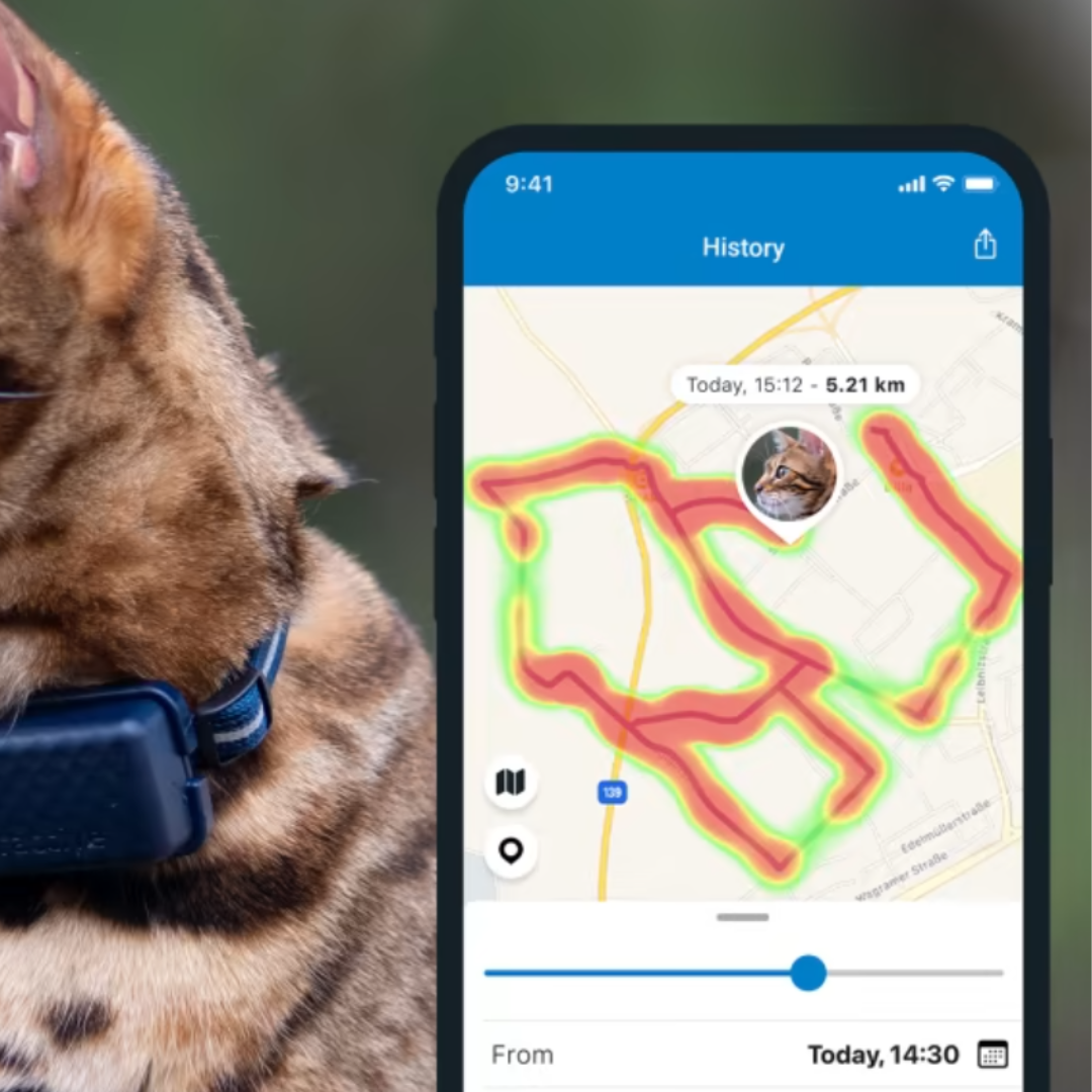 Tractive Collar gato GPS Mini, Producto del Año, Localización en